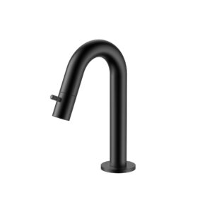 Robinet d'eau froide Stria – bec courbé – sans bonde – noir mat (PVD)