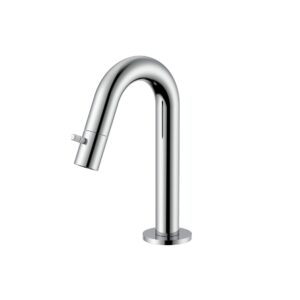 Robinet d'eau froide Stria – bec courbé – sans bonde – chrome